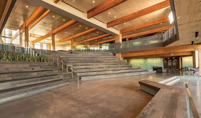 Largest Cross Laminated Timber Structure